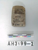 藏品(小型磨製石錛)的圖片